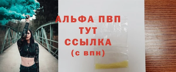 ECSTASY Белокуриха