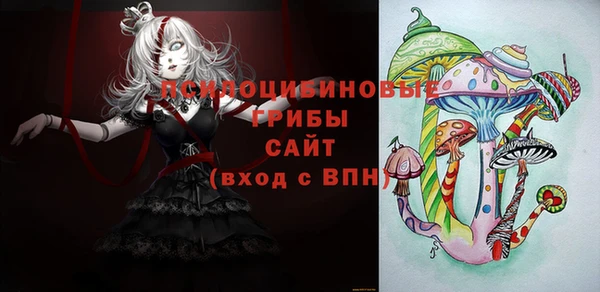 мяу мяу мука Беломорск