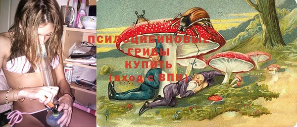 ECSTASY Белокуриха