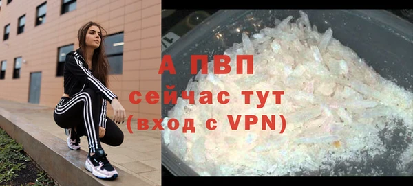 мяу мяу мука Беломорск